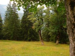 2013-08-25_Risserkogel (063).JPG